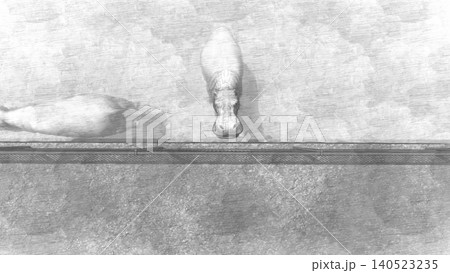 動物園のカバ 水中を泳いだりのんびり過ごすカバ 3DCGイラスト 人物なし 動物園のカバ 水中を泳いだりのんびり過ごすカバ 3DCGイラスト 人物なし 140523235