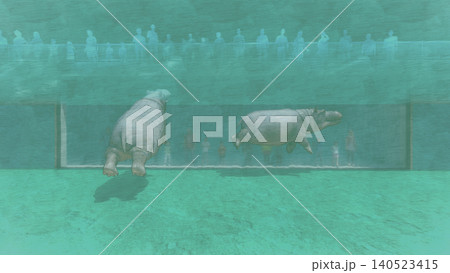 動物園のカバ 水中を泳いだりのんびり過ごすカバ　3DCGイラスト　人物あり	 140523415