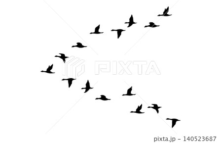 くの字型に飛ぶ鳥の群れのシルエット くの字型に飛ぶ鳥の群れのシルエット 140523687