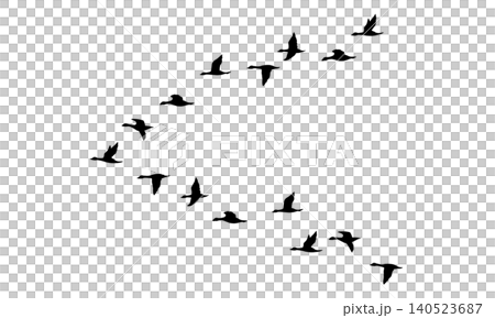 くの字型に飛ぶ鳥の群れのシルエット くの字型に飛ぶ鳥の群れのシルエット 140523687