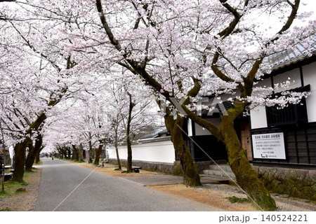 福岡県朝倉市　秋月杉の馬場（秋月城跡）と秋月美術館と満開桜 140524221