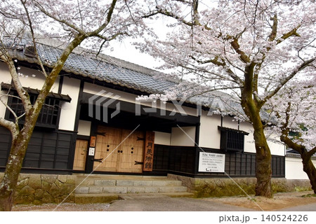 福岡県朝倉市 秋月美術館と杉の馬場の満開桜 福岡県朝倉市 秋月美術館と杉の馬場の満開桜 140524226