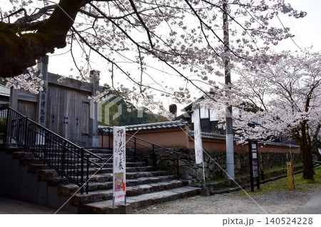 福岡県朝倉市 秋月博物館入口と満開桜と杉の馬場 福岡県朝倉市 秋月博物館入口と満開桜と杉の馬場 140524228