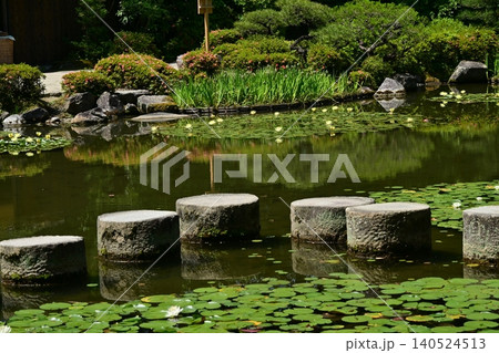平安神宮　菖蒲 140524513