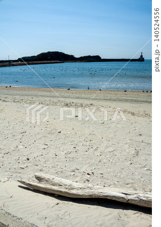 流木のある砂浜と穏やかな海 流木のある砂浜と穏やかな海 140524556