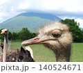 ダチョウ越しの羊蹄山 140524671
