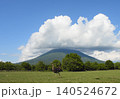 ダチョウと羊蹄山の風景 140524672