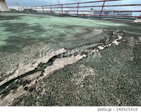Old flat roof blisters due to moisture between layers of the roofing material. Old flat roof blisters due to moisture between layers of the roofing material. 140525419
