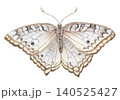 Watercolor butterfly White Peacock illustration. Hand drawn nymphalid insect with light texture wings in realistic style. Tropical pastel design for wedding and greeting card or botanical art poster. 140525427