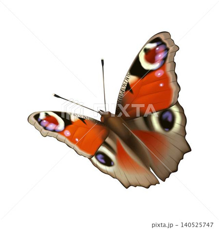 Detailed illustration of vivid orange butterfly wings Detailed illustration of vivid orange butterfly wings 140525747