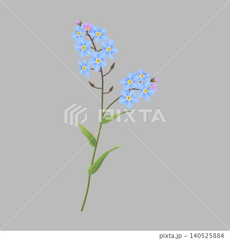 Delicate Blue Flowers on Gray Background Delicate Blue Flowers on Gray Background 140525884