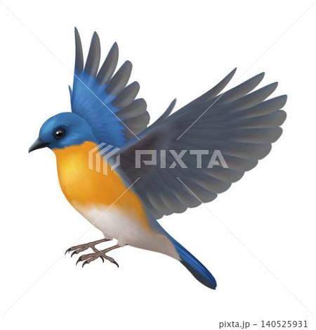 Vibrant Blue Bird in Flight with Orange Plumage 140525931