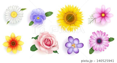 Realistic Illustrations of Various Flowers Realistic Illustrations of Various Flowers 140525941