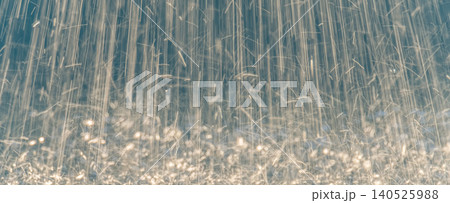 激しく降る雨のイメージ 140525988