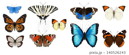 Colorful Butterfly Collection with Diverse Patterns 140526243
