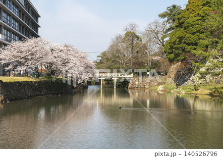 桜に囲まれた松江城のお堀と歴史ある景観 桜に囲まれた松江城のお堀と歴史ある景観 140526796