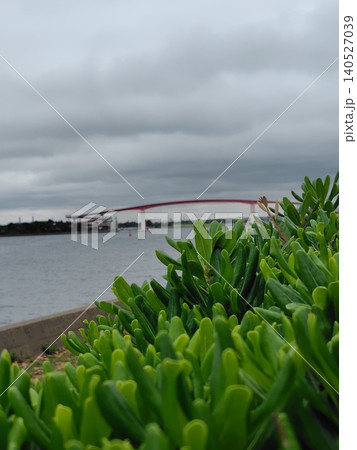 木更津市潮浜公園からの中の島大橋 木更津市潮浜公園からの中の島大橋 140527039
