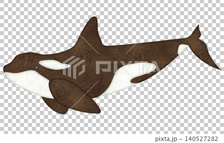 Watercolor-style orca Watercolor-style orca 140527282