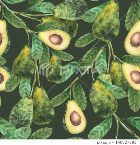 Avocado branches with whole fruits, sliced halves and green leaves, seeds watercolor realistic botanical seamless pattern on dark green isolated background. Hand drawn illustration for textile, fabric Avocado branches with whole fruits, sliced halves and green leaves, seeds watercolor realistic botanical seamless pattern on dark green isolated background. Hand drawn illustration for textile, fabric 140527293