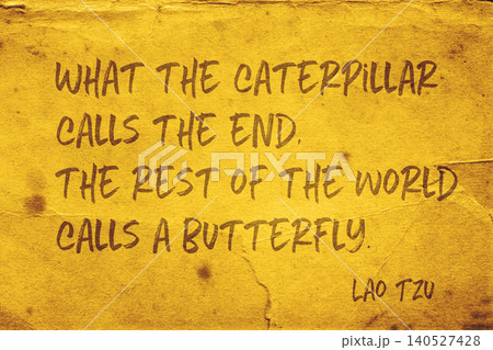 calls a butterfly Lao Tzu calls a butterfly Lao Tzu 140527428
