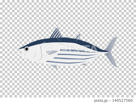 Skipjack illustration Skipjack illustration 140527560