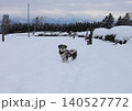 雪積もる公園で犬の散歩 140527772