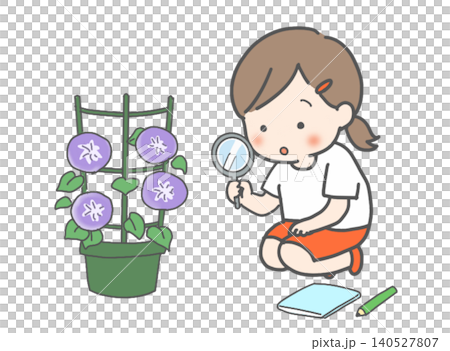 Morning glory watering Morning glory watering 140527807