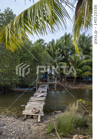 A rickety wooden footbridge crosses a narrow Vietnamese canal framed by lush palm fronds and mangroves, leading to a small stilt house amid dense vegetation. A rickety wooden footbridge crosses a narrow Vietnamese canal framed by lush palm fronds and mangroves, leading to a small stilt house amid dense vegetation. 140528586