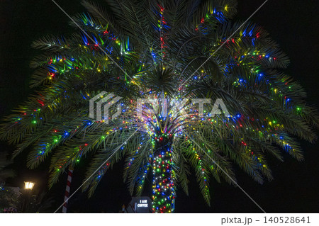 A tropical palm tree decorated with vivid multicolor LED Christmas lights glowing against the dark night sky at Grand World entertainment complex, Phu Quoc, Vietnam. A tropical palm tree decorated with vivid multicolor LED Christmas lights glowing against the dark night sky at Grand World entertainment complex, Phu Quoc, Vietnam. 140528641