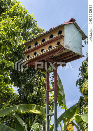 A large multi-storey swiftlet house on a tall metal pole, surrounded by mango trees and banana palms against a clear blue sky. Common in Vietnam for edible bird's nest farming. A large multi-storey swiftlet house on a tall metal pole, surrounded by mango trees and banana palms against a clear blue sky. Common in Vietnam for edible bird's nest farming. 140528653