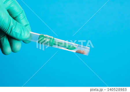 A lab technician's hand in a green medical glove holds a test tube containing stool samples for occult blood and calprotectin testing. Intestinal infections. Copy space for text 140528983