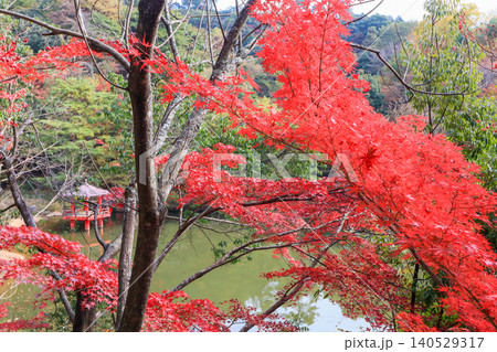 福岡県田川郡の岩石山ふもとにある秋の添田公園 福岡県田川郡の岩石山ふもとにある秋の添田公園 140529317