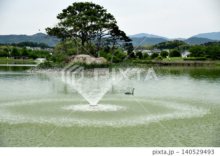 平池緑地公園　　【和歌山県紀の川市貴志川町】　 140529493