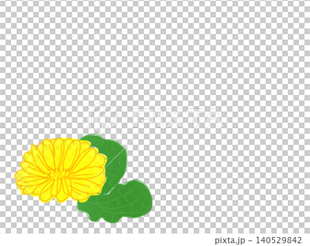 黃色花朵插畫 黃色花朵插畫 140529842