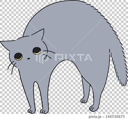 やんのかステップをする灰色の猫 やんのかステップをする灰色の猫 140530873