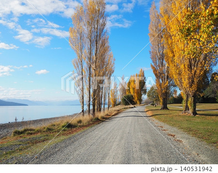 ニュージーランド・テアナウの美しいポプラ並木の紅葉と湖の風景 ニュージーランド・テアナウの美しいポプラ並木の紅葉と湖の風景 140531942