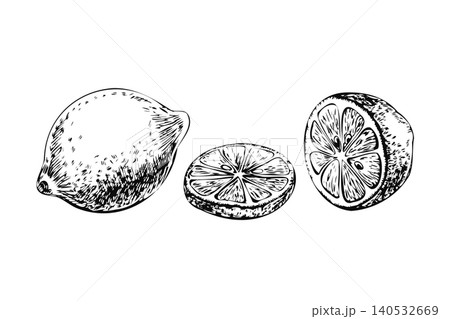 Lemon fruit whole with cut slices hand drawn ink sketch. Black line art citrus collection isolated on white for lemonade beverage packaging, kitchen wall decor, restaurant menu, and recipe book 140532669