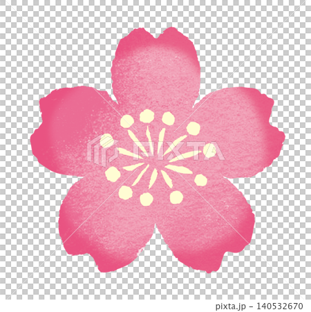 櫻花 140532670