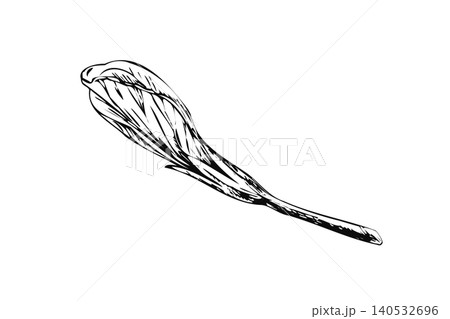 Hibiscus flower bud hand drawn ink line art illustration. Minimalist black contour botanical sketch isolated on white for textile print, pattern design, wedding stationery, and spa branding Hibiscus flower bud hand drawn ink line art illustration. Minimalist black contour botanical sketch isolated on white for textile print, pattern design, wedding stationery, and spa branding 140532696