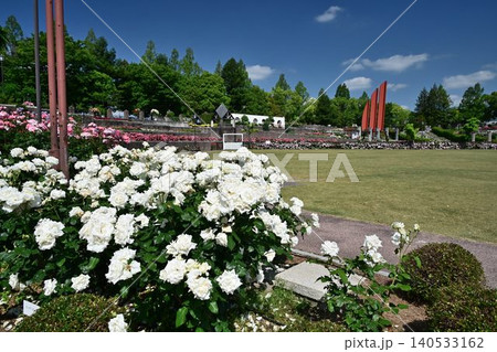 伊丹市立みどりのプラザ 春の荒牧バラ公園 伊丹市立みどりのプラザ 春の荒牧バラ公園 140533162