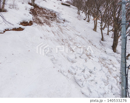 白馬乗鞍温泉スキー場で見られた小規模な雪崩跡 (長野県、小谷村) 白馬乗鞍温泉スキー場で見られた小規模な雪崩跡 (長野県、小谷村) 140533276