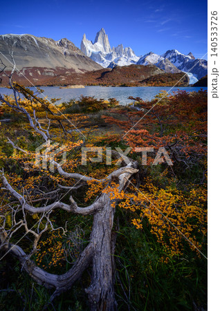Patagonia lake, mountain peak, autumn forest, driftwood, blue sky Patagonia lake, mountain peak, autumn forest, driftwood, blue sky 140533726