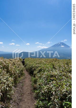 富士山を眺めながら登る山 竜ヶ岳 富士山を眺めながら登る山 竜ヶ岳 140534085