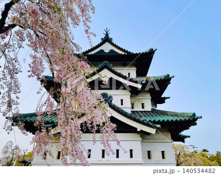 青森県の弘前城で美しく咲き誇るしだれ桜と歴史ある天守の春の絶景 青森県の弘前城で美しく咲き誇るしだれ桜と歴史ある天守の春の絶景 140534482