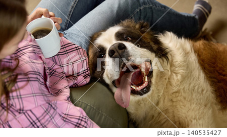 Large dog lying on owner lap while woman holding coffee mug at home Large dog lying on owner lap while woman holding coffee mug at home 140535427