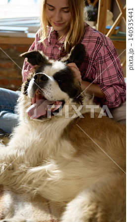 Young woman petting Saint Bernard dog close up cozy home pet care lifestyle Young woman petting Saint Bernard dog close up cozy home pet care lifestyle 140535441