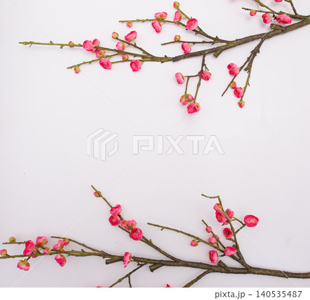 A top view of a White wood textured background decorated with almond rose flowers. A top view of a White wood textured background decorated with almond rose flowers. 140535487