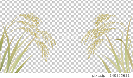 水彩イラスト お米の収穫 稲穂 サイドフレーム透過PNG 水彩イラスト お米の収穫 稲穂 サイドフレーム透過PNG 140535631