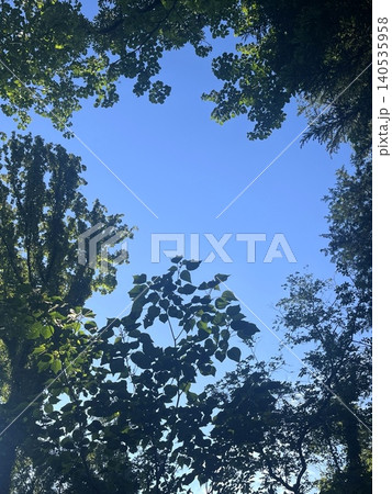 青空を囲む木々のフレームと夏の森の背景素材 青空を囲む木々のフレームと夏の森の背景素材 140535958