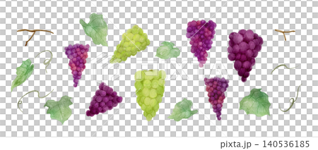 A set of various types of grapes painted in watercolor. A set of various types of grapes painted in watercolor. 140536185